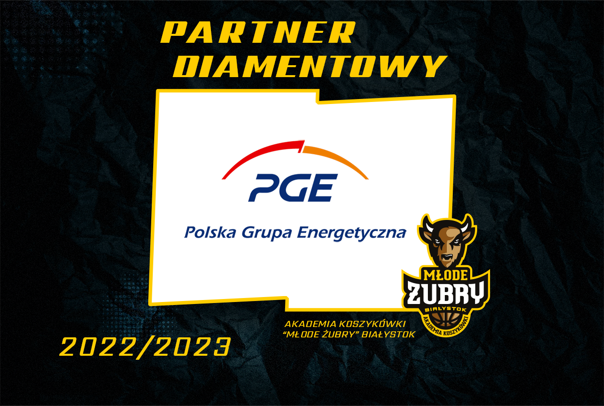 Baner Partner PLATYNOWY PGE 2022 2023